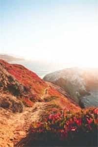 疏风云散待晴时无删减全文