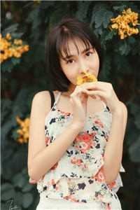 日暮不思归优质全文阅读