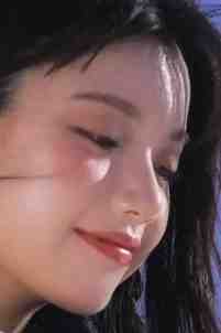 如我搁浅千丈渊陆栀宁向书珩全集