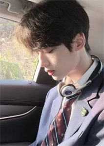 你是人间惊鸿客免费看