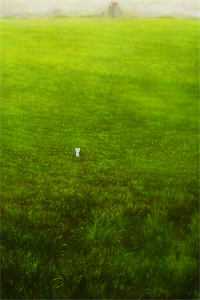 穿成男主和反派的恶毒亲妈完整作品