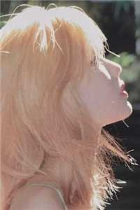 锦瑟无端五十弦章节