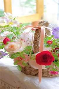 不好！陛下他居然盯上我了在线阅读