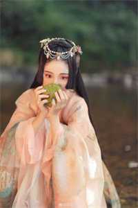 雾里看花又见你人气小说