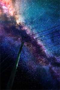 团宠画骨师：首辅大人求入赘全局