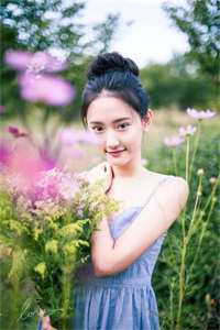 似你停泊万古夜完整文集阅读