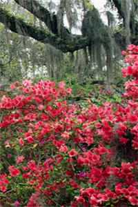 东宫保安？不，是人间武圣无删减全文