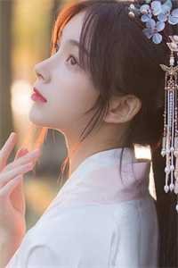 医道通天，从一方小吏开始质量好文