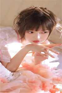 千山风起似旧年完本