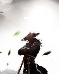 玫瑰惹清风精品