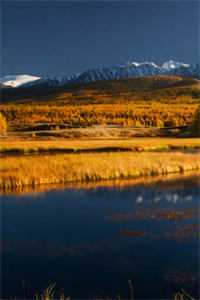 我与表嫂的秘密烟瑶陈宇后续+完结