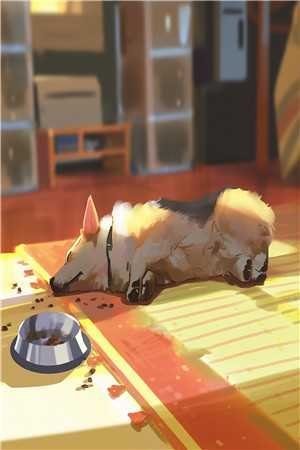 灾年开启，我穿越当救世主精彩