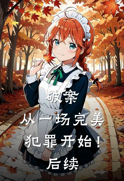破案从一场完美犯罪开始!后续是