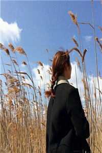 初签覆旧誓，遥是未归人爆款热文