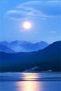 锦瑟无端五十弦结局+番外