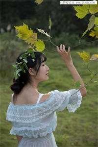 妻子买了蛋黄馅月饼，我提出离婚完本