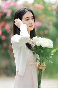 似你停泊万古夜无删减