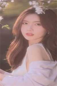 爱如长风，不吹亦散小说在线阅读免费