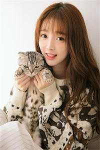 风吹落雪等春至畅读