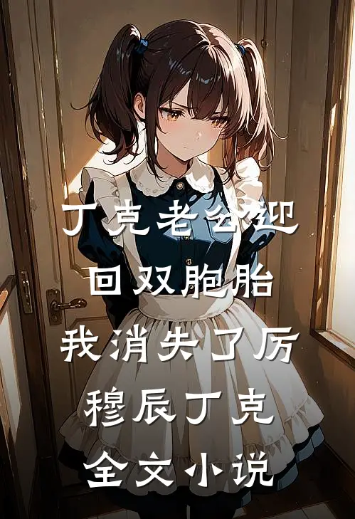 丁克老公迎回双胞胎，我消失了厉穆辰丁克全文小说