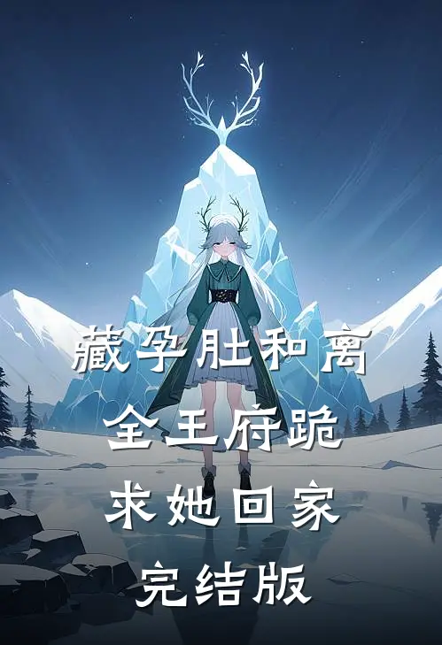 藏孕肚和离，全王府跪求她回家完结版