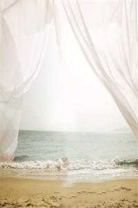 大人不可以，我夫君会生气全章节阅读