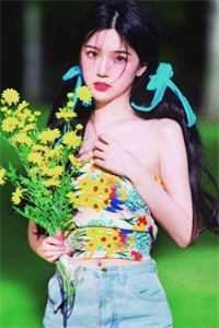 莫以真心抵虛情无删减