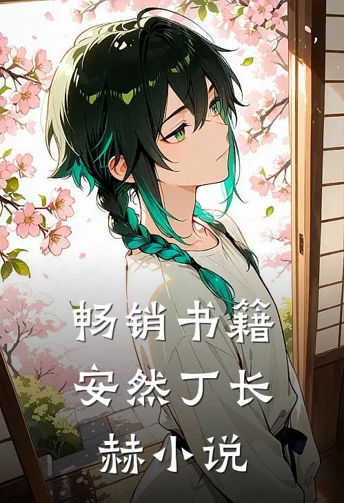 畅销书籍安然丁长赫小说