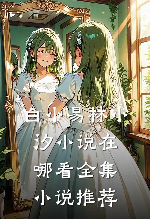 白小易林小汐小说在哪看全集小说推荐