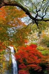 山河不老，故人长诀前言+后续