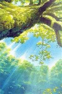 婚后欲海司南礼鹿乔微小说