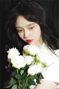 扶摇直上九万里优质全文阅读