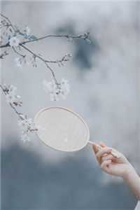 我不做家庭主妇后，总裁老公悔疯了无删版