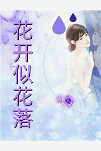 十年一梦晚梨辞人气小说