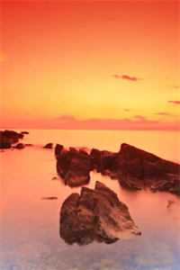 似你停泊万古夜无删减+无广告