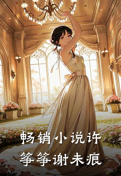 畅销小说许筝筝谢未痕