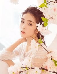 我拒绝拆迁后，成了罪人宋星冉老李番外