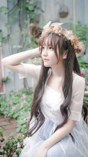 似你停泊万古夜好书