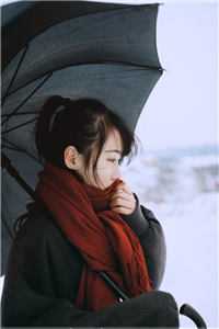 你等南风起，我等故人归短篇小说阅读